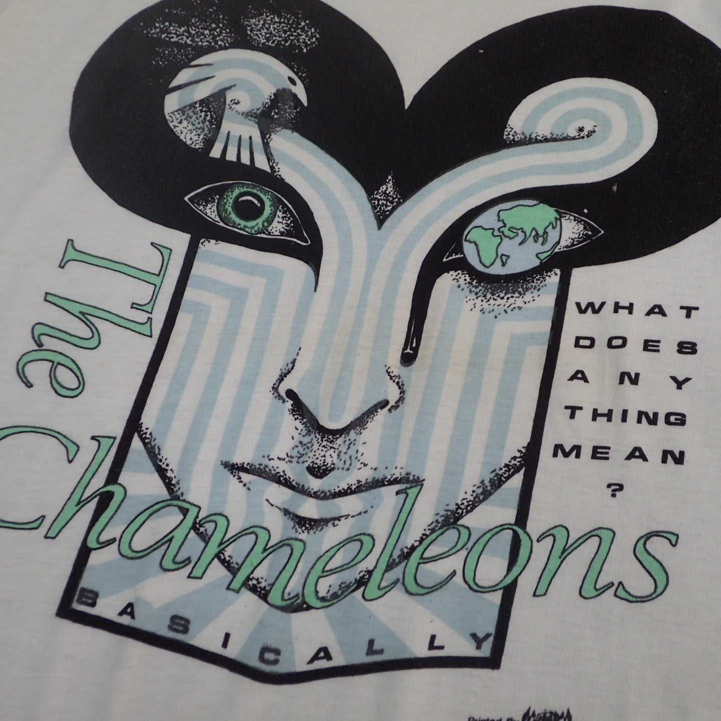 80s The Chameleons " What Does Anything Mean? Basically Tee"