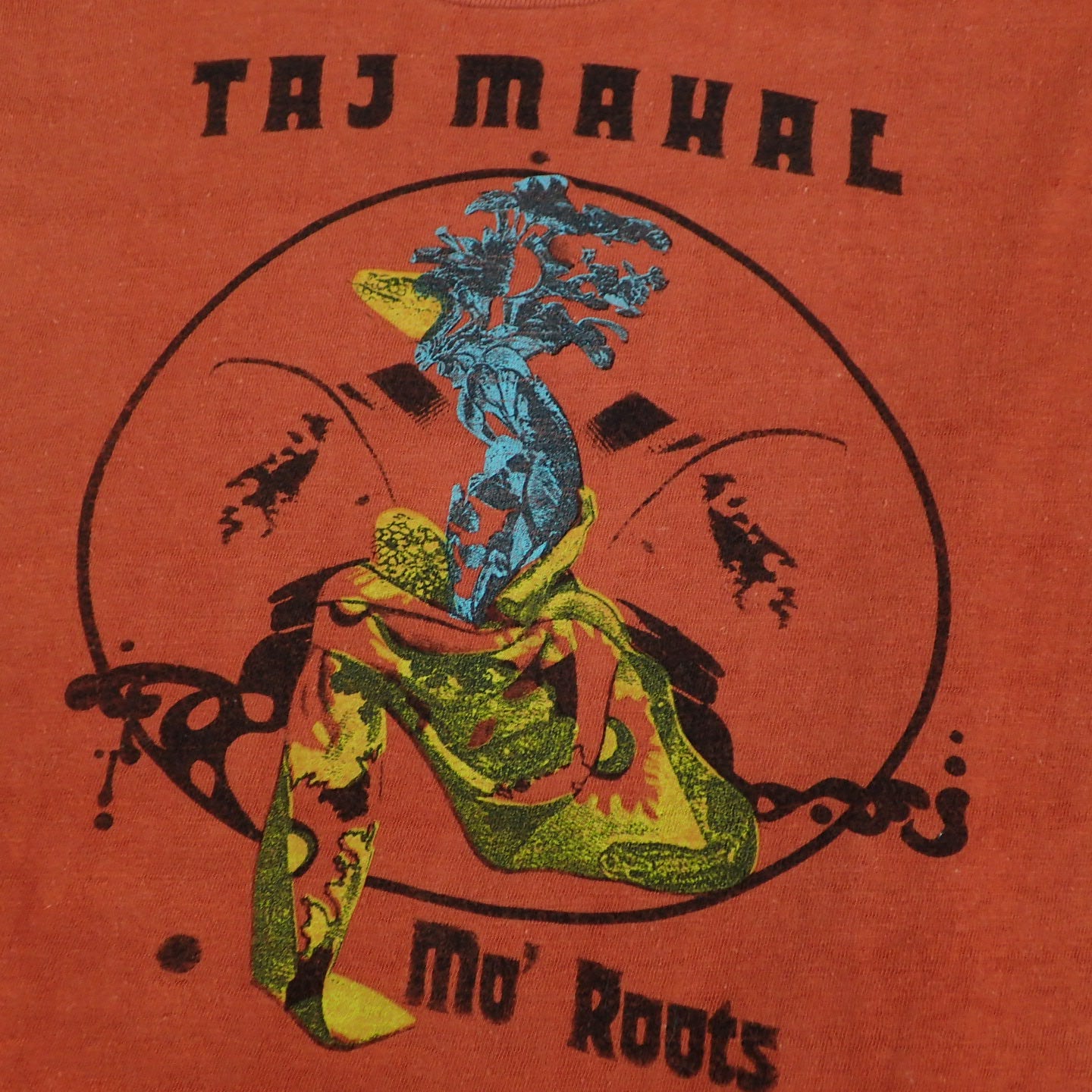 70s Taj Mahal " Mo' Roots Tee"