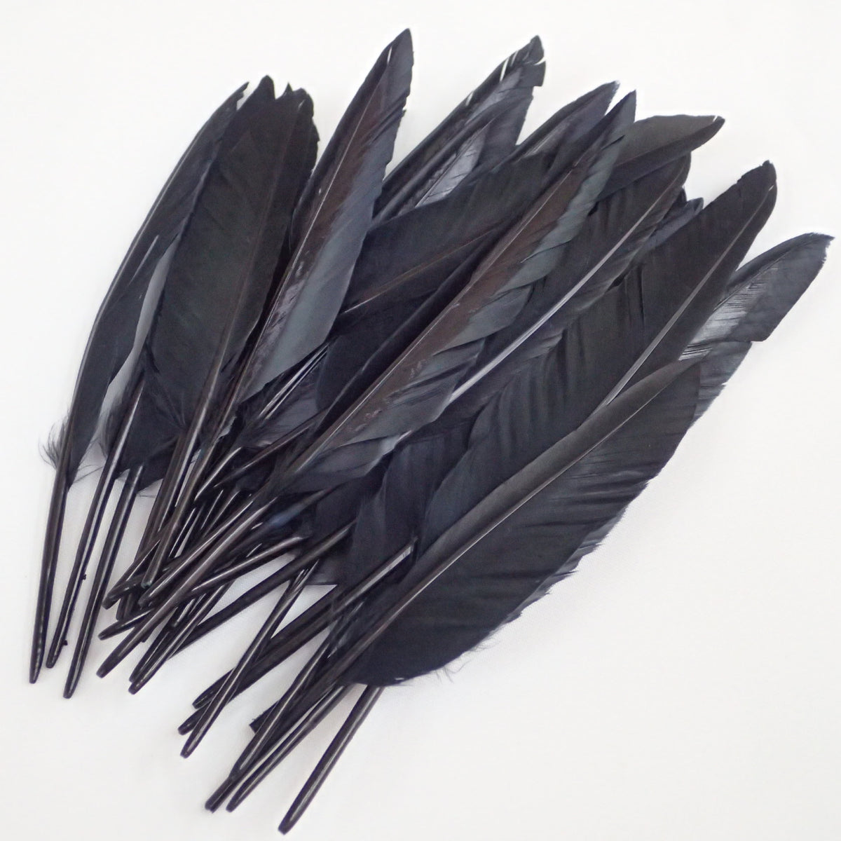 Ann Demeulemeester 2011 Fall Cartridge Feather Belt and Necklace